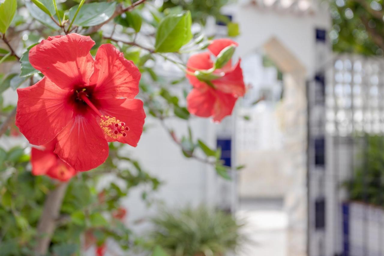 Mi Casa Villa Caleta De Velez Dış mekan fotoğraf